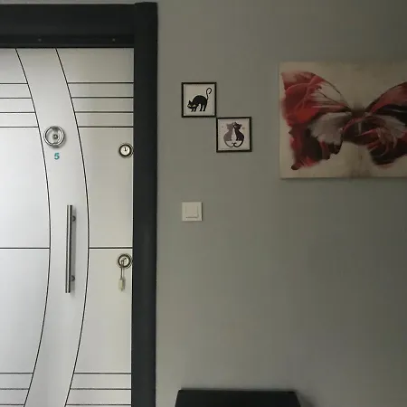 Apartament Teoscitta *
